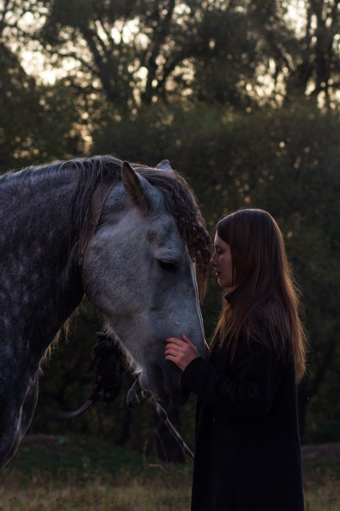 Фотография автора Софья Алексеева