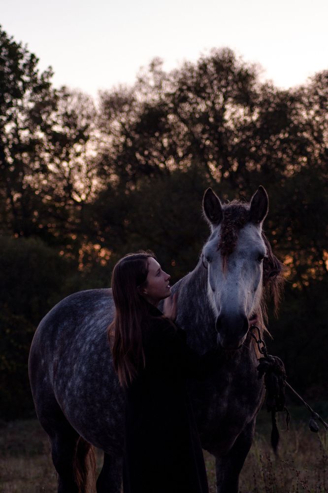 Фотография автора Софья Алексеева