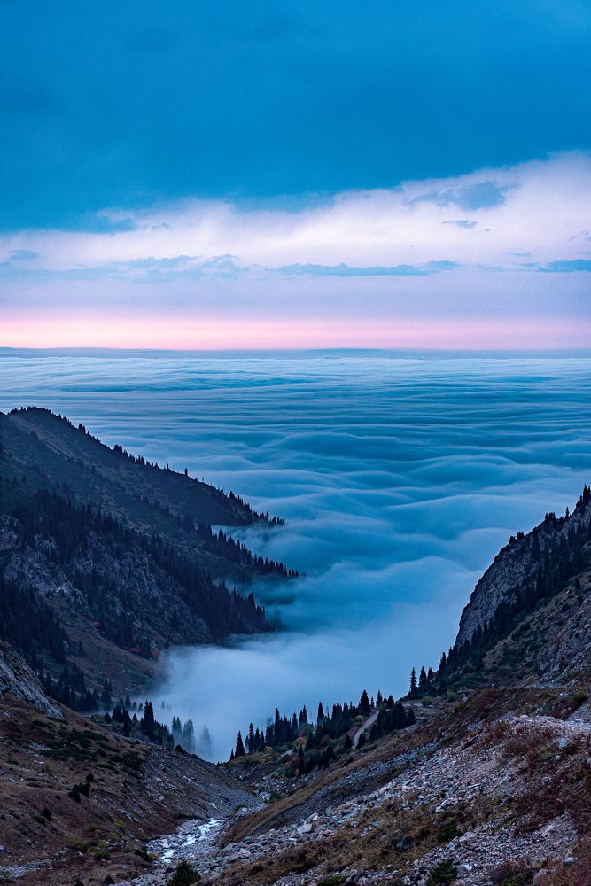 Photograph by Алексей Торлопов