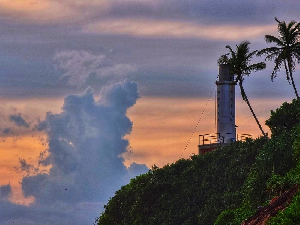 Photograph by Buddhika Dinuranga