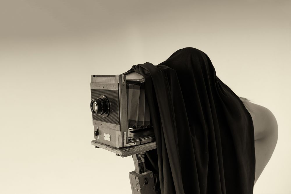 Photograph by Karpenko Denis