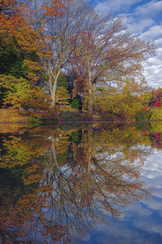 Photograph by Achintya Adhikari