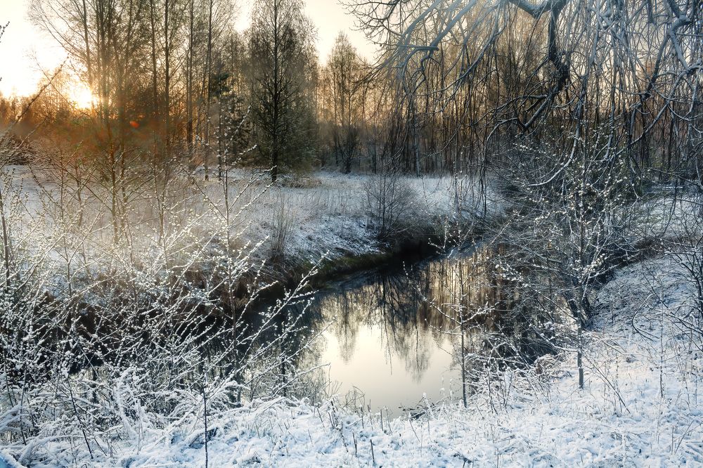 Photograph by Васенков Геннадий