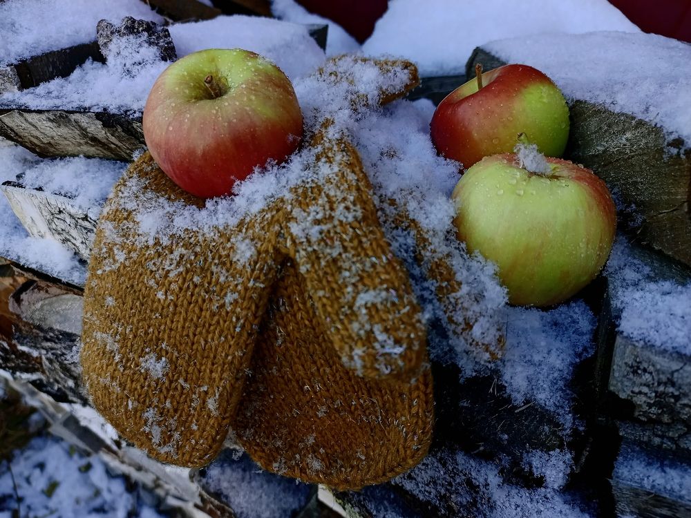 Photograph by Ольга Лемегова