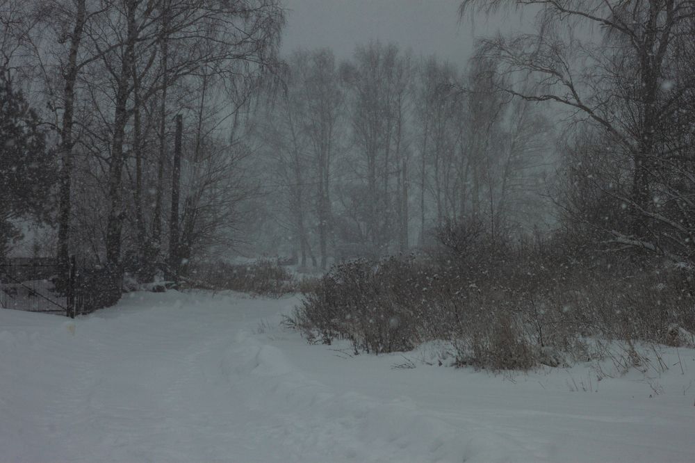 Photograph by Владислав Капанов