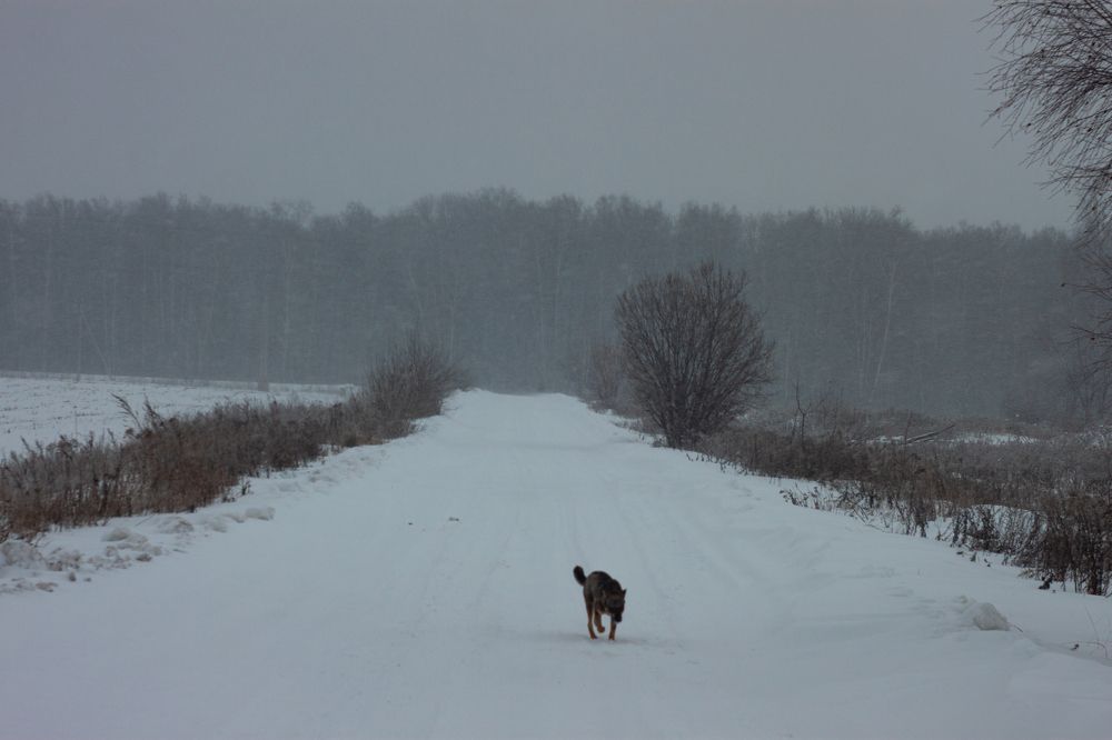Photograph by Владислав Капанов