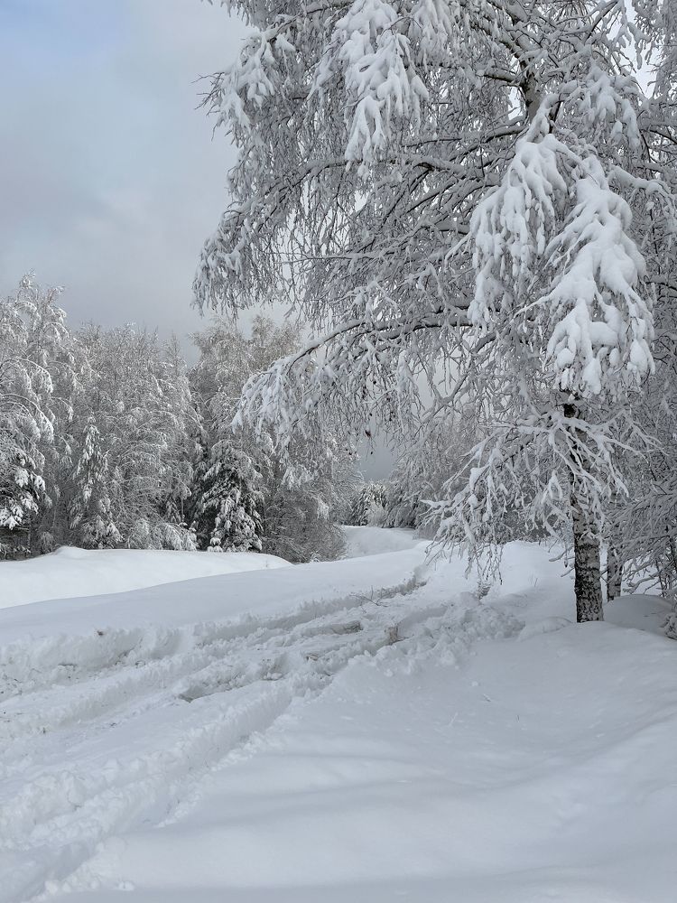 Бездорожье