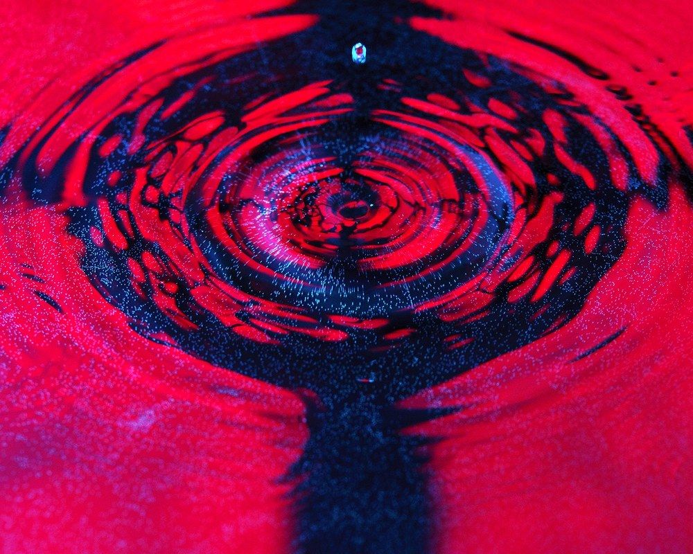 Photograph by Дмитрий Чечулин