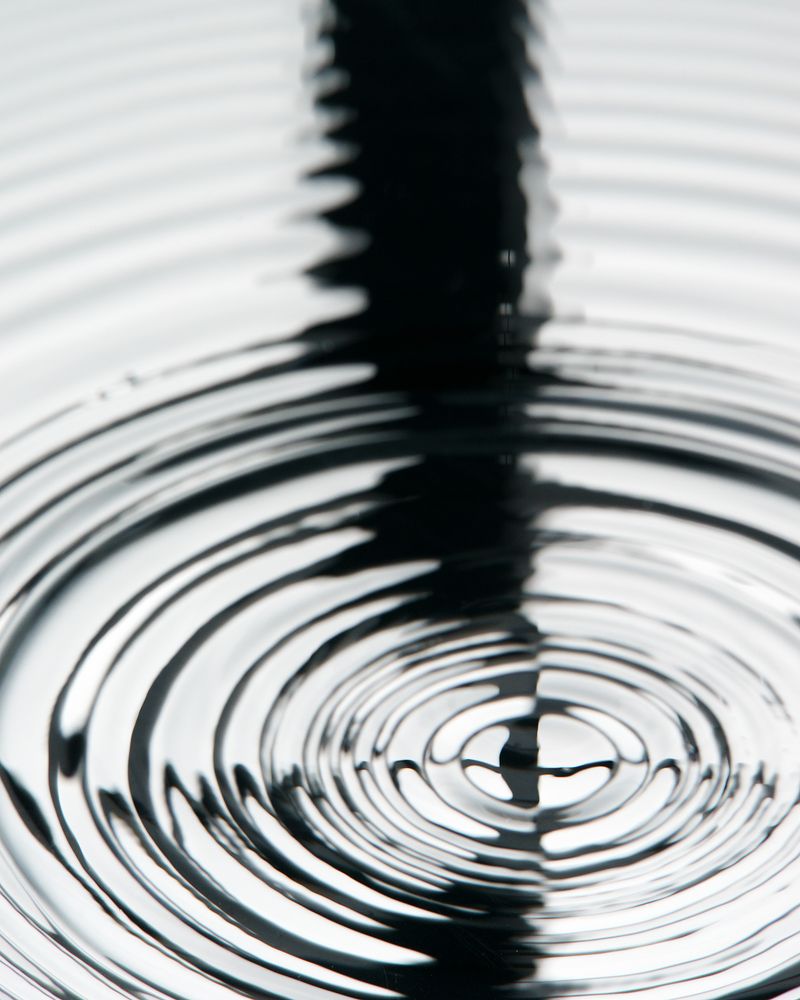 Photograph by Дмитрий Чечулин