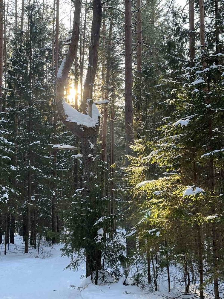 Photograph by Елена Карпухно