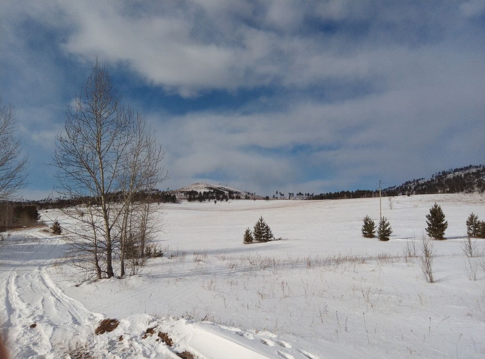Photo #10029952