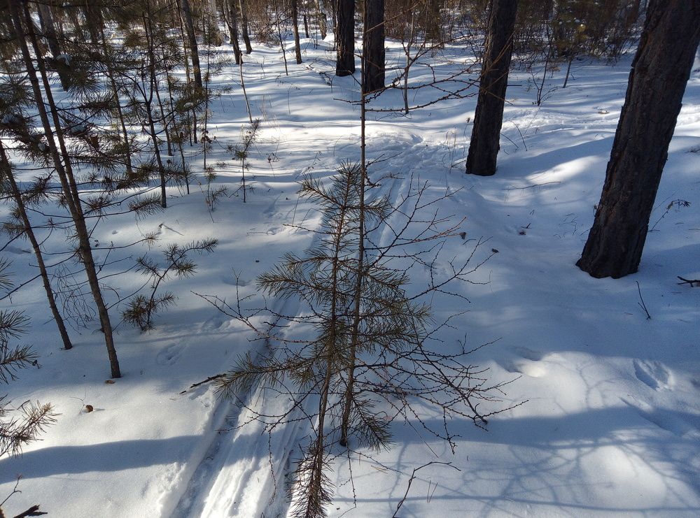 Photo #10029954