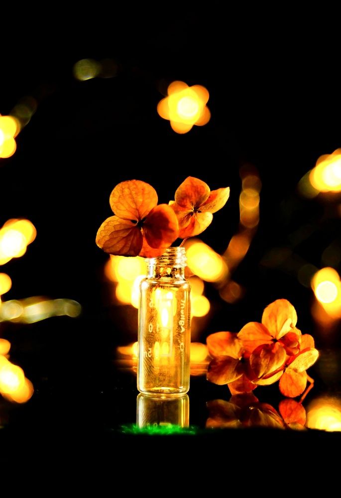 Фотография автора НАТАЛЬЯ СЕВЕР