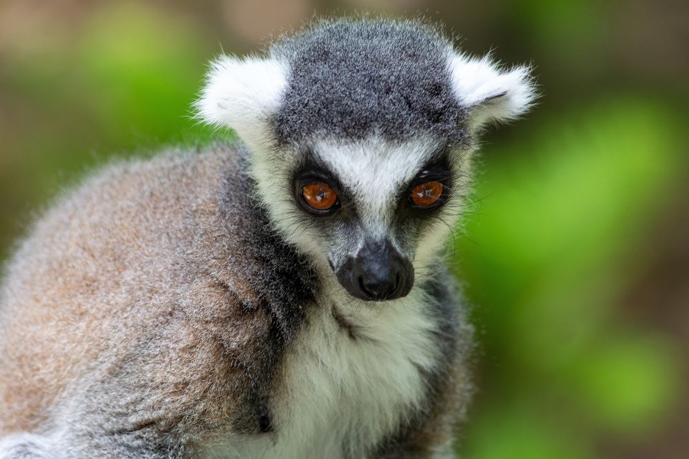 Photograph by Febin Thomas