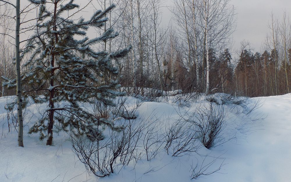 Photograph by Сергей Рудаков