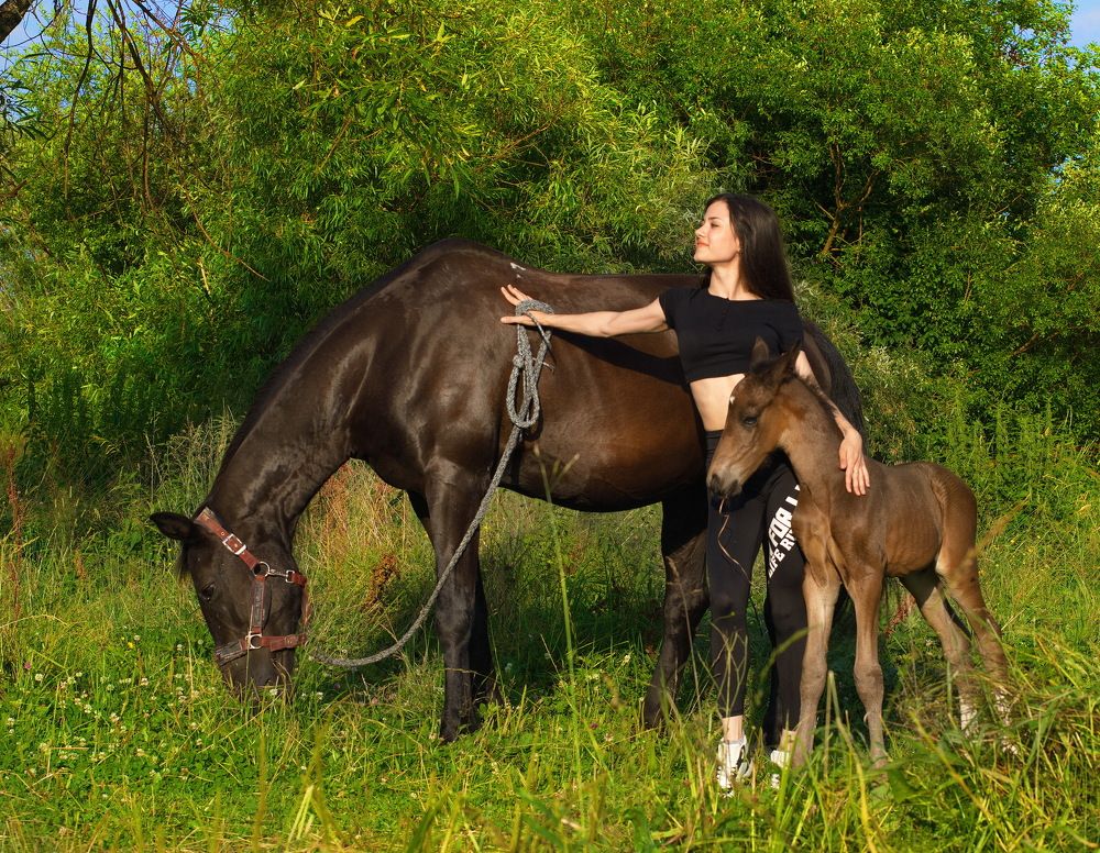 Photograph by Сергей