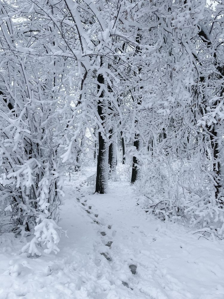 Photograph by Олена Уманцева