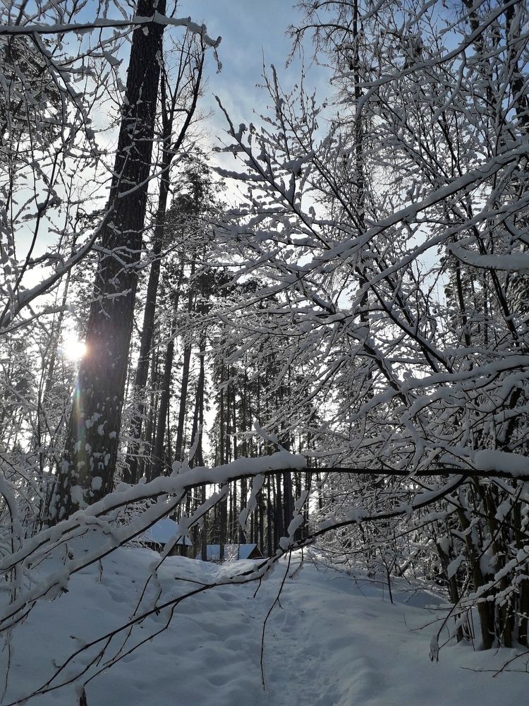 Photograph by Марина Гусева