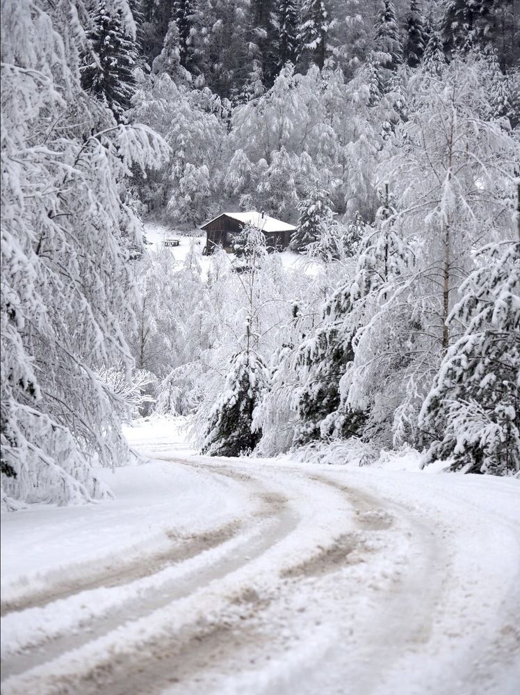 Photograph by Екатерина Шмелева