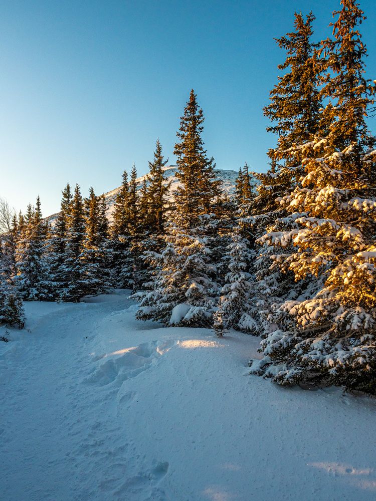 Photograph by Михаил