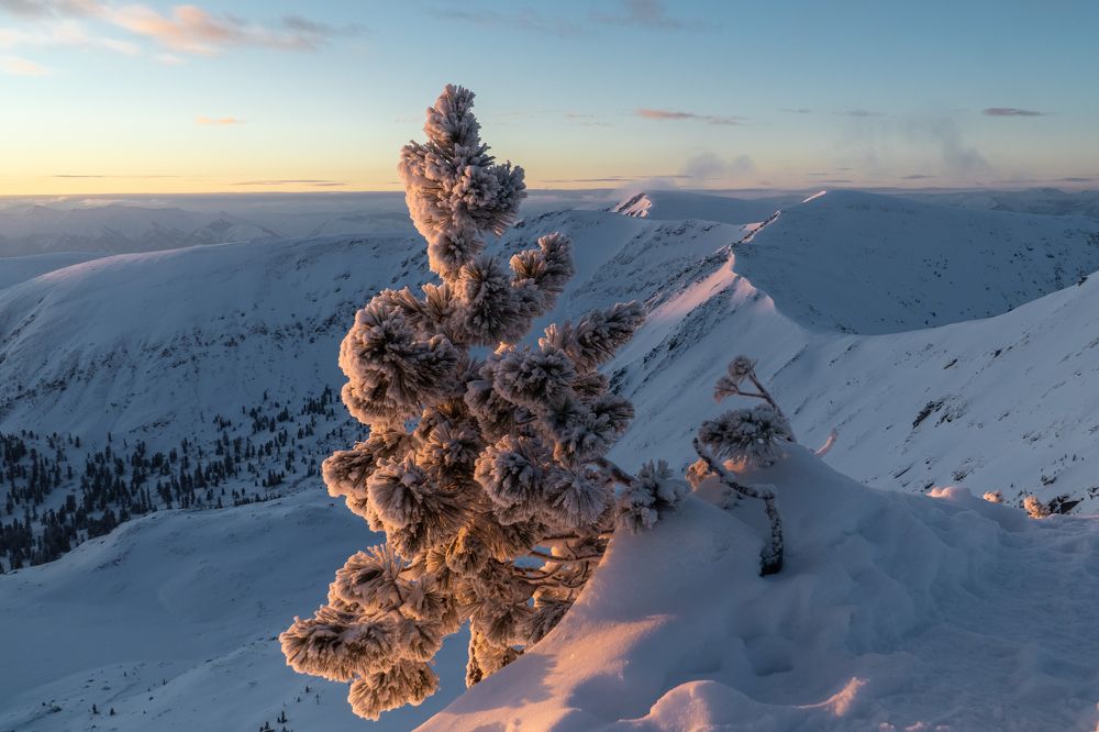 Фотография автора Михаил Тильпунов