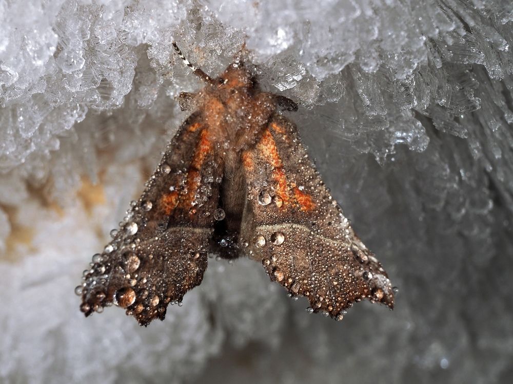 Photograph by Алексей Поляков