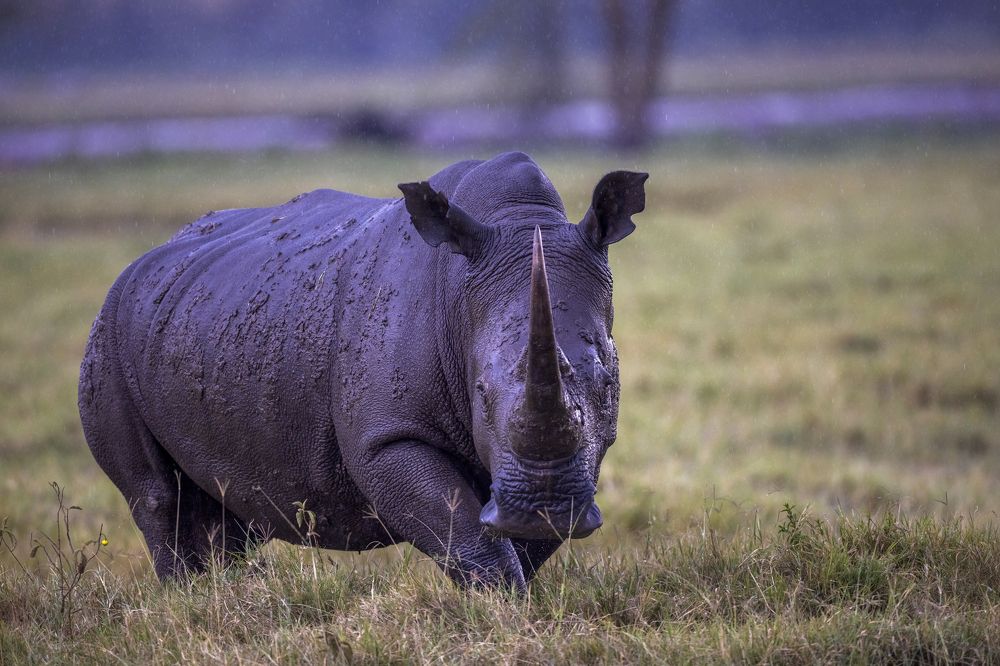 Photograph by Goutham Ganesh Sivanandam