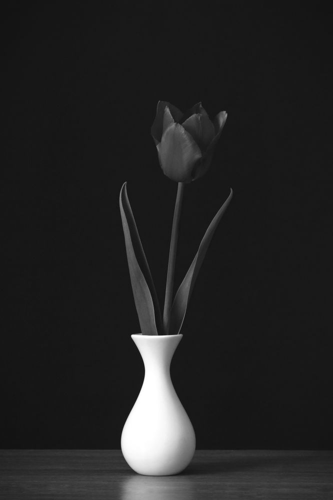 Фотография автора Vadim Svirin