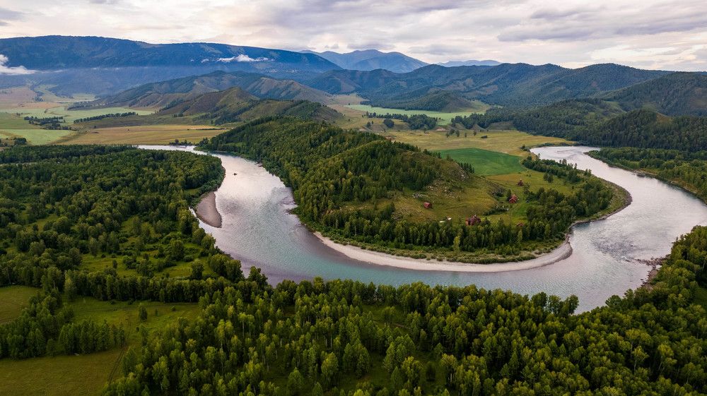 Фотография автора Totoro D