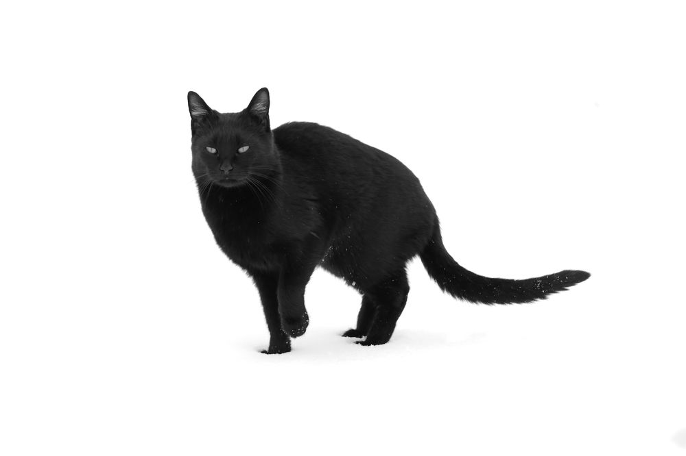 Photograph by Сергей Конюшенко