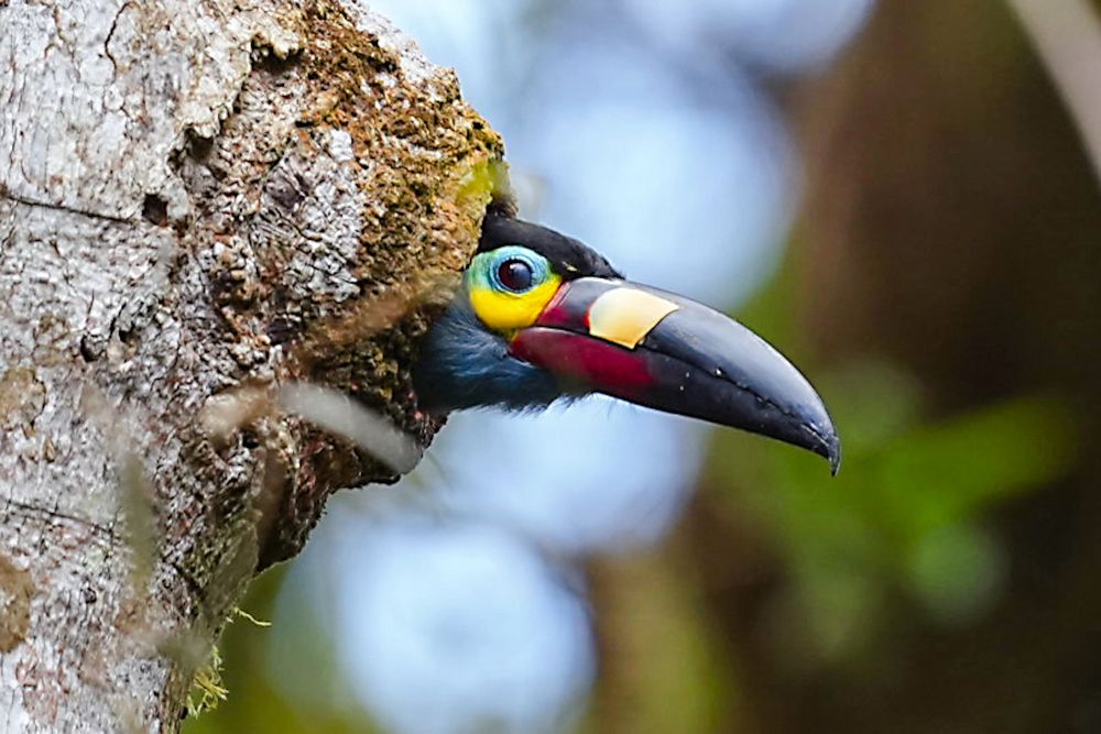 Фотография автора Jian Ma