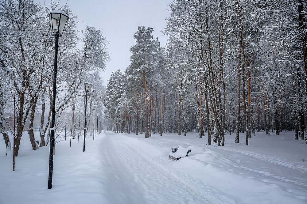 Photograph by Алексей Трифонов