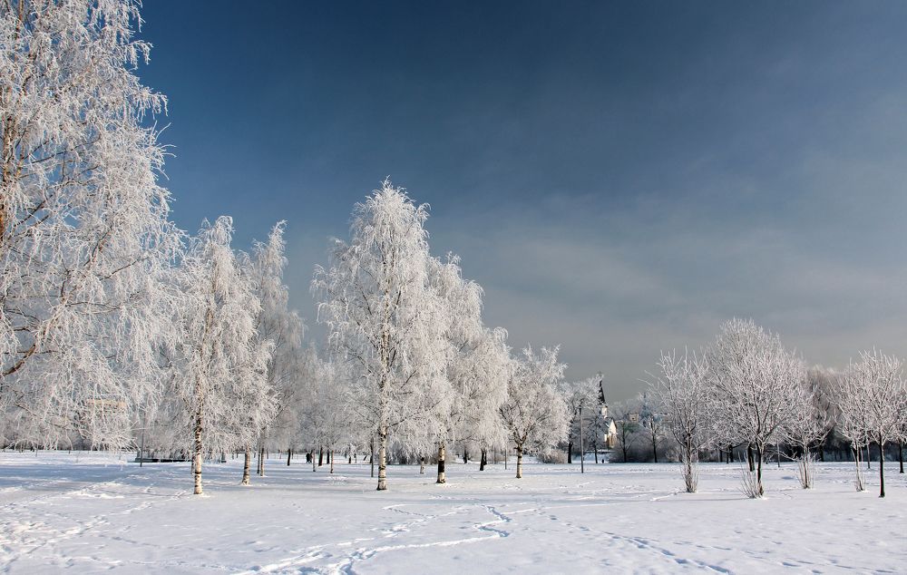 В зимнем парке
