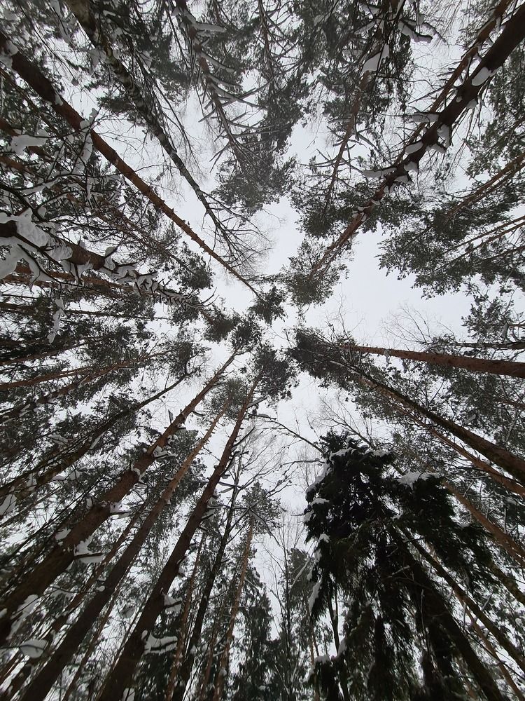 Photograph by Ирина Столярова