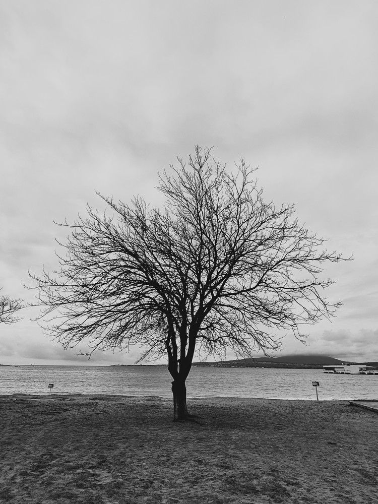 Photograph by Ирина Столярова