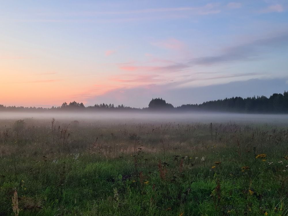 Photograph by Ирина Столярова