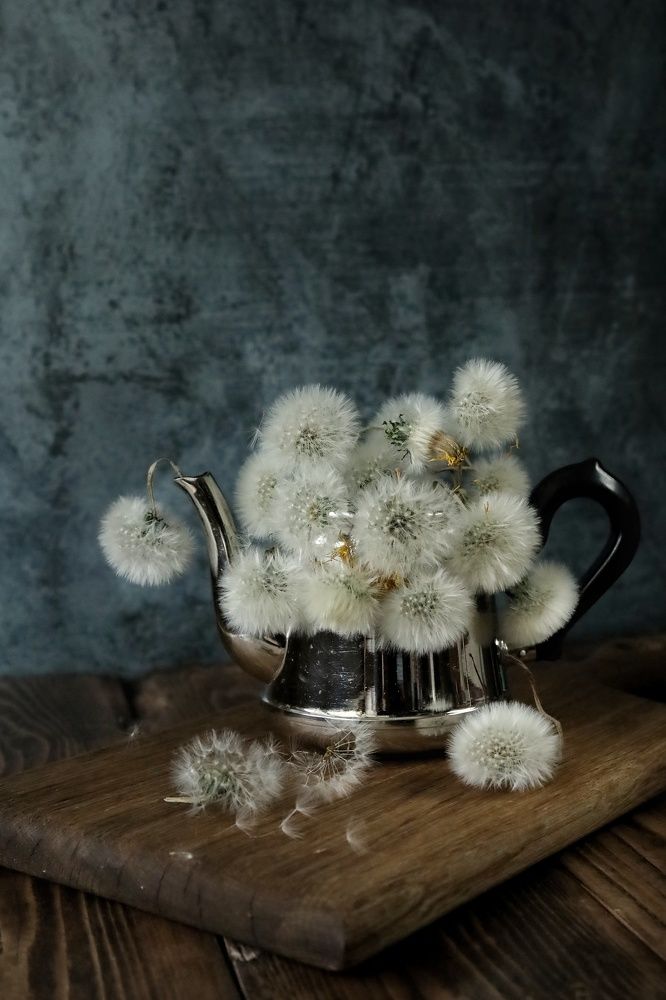 Photograph by Angelica Medvedeva