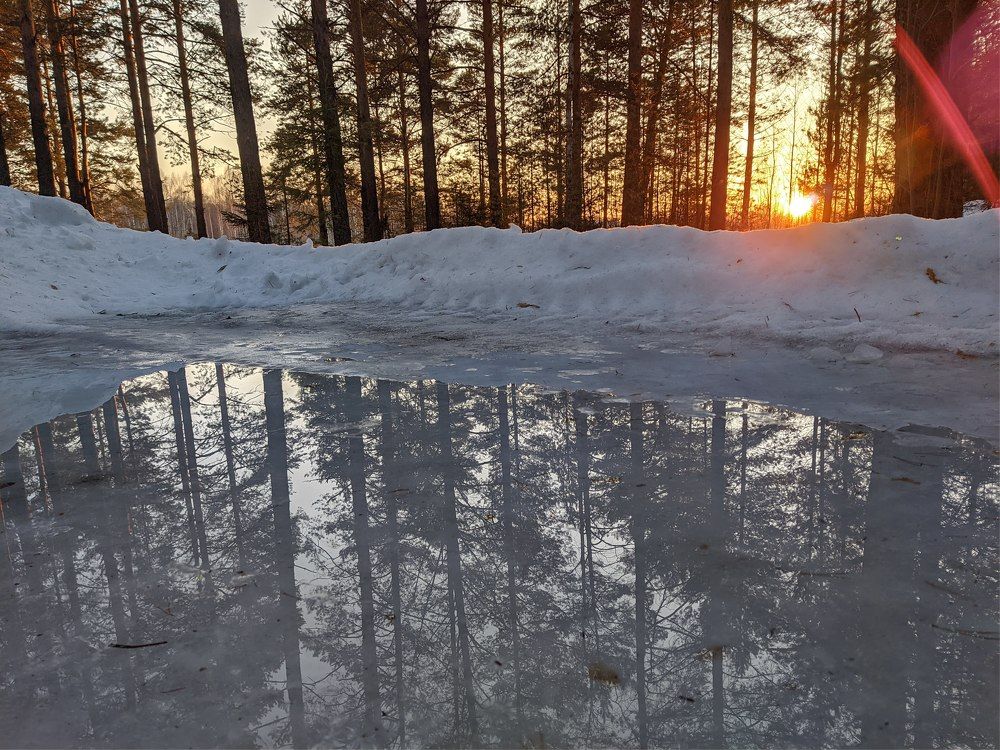 Photograph by Никита Боков