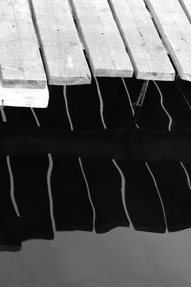 Фотография автора Колосова Елена