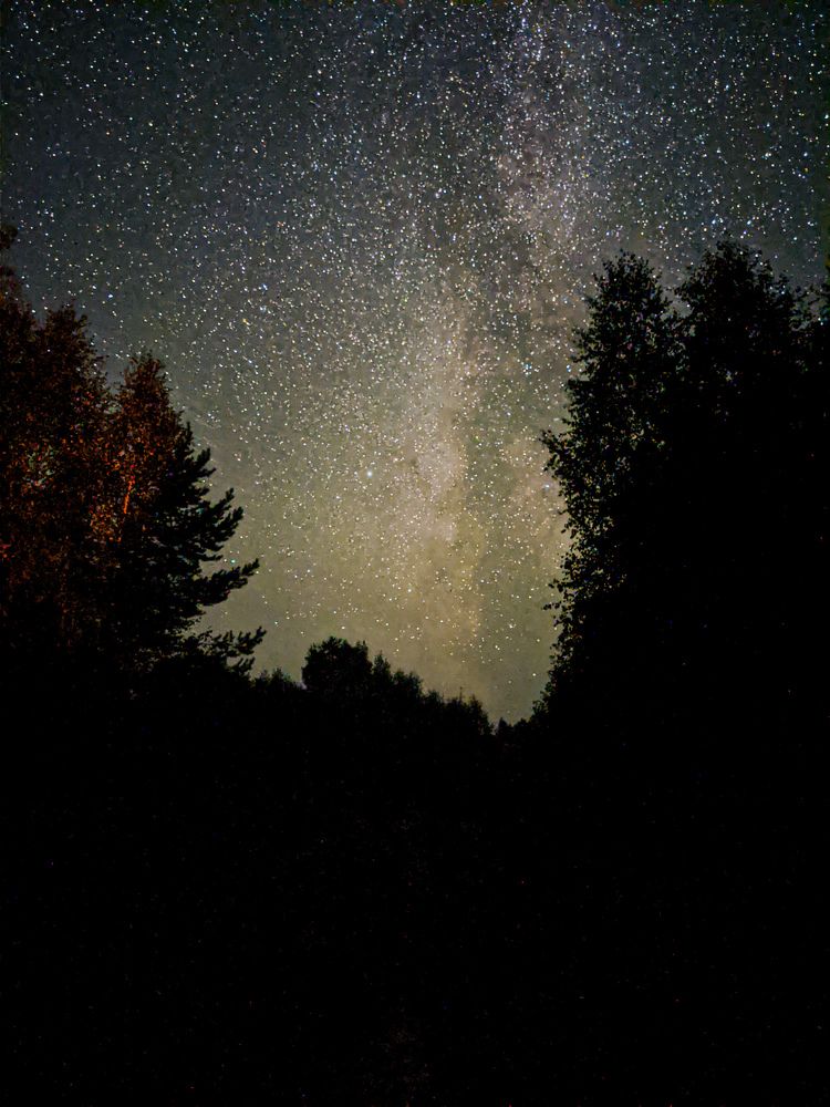 Photograph by Никита Боков