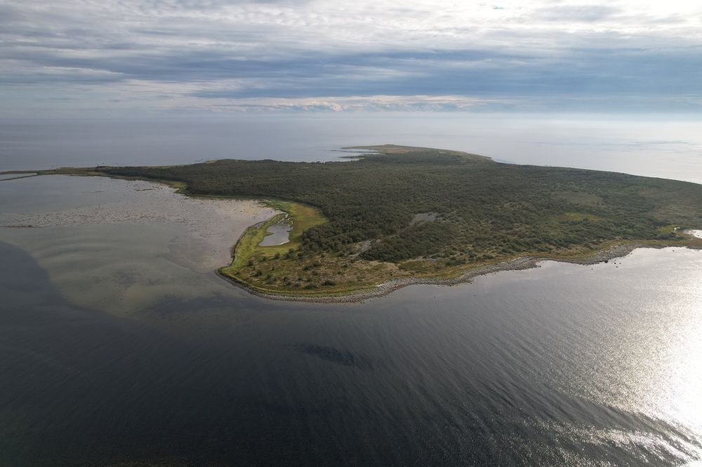 Фотография автора Колосова Елена