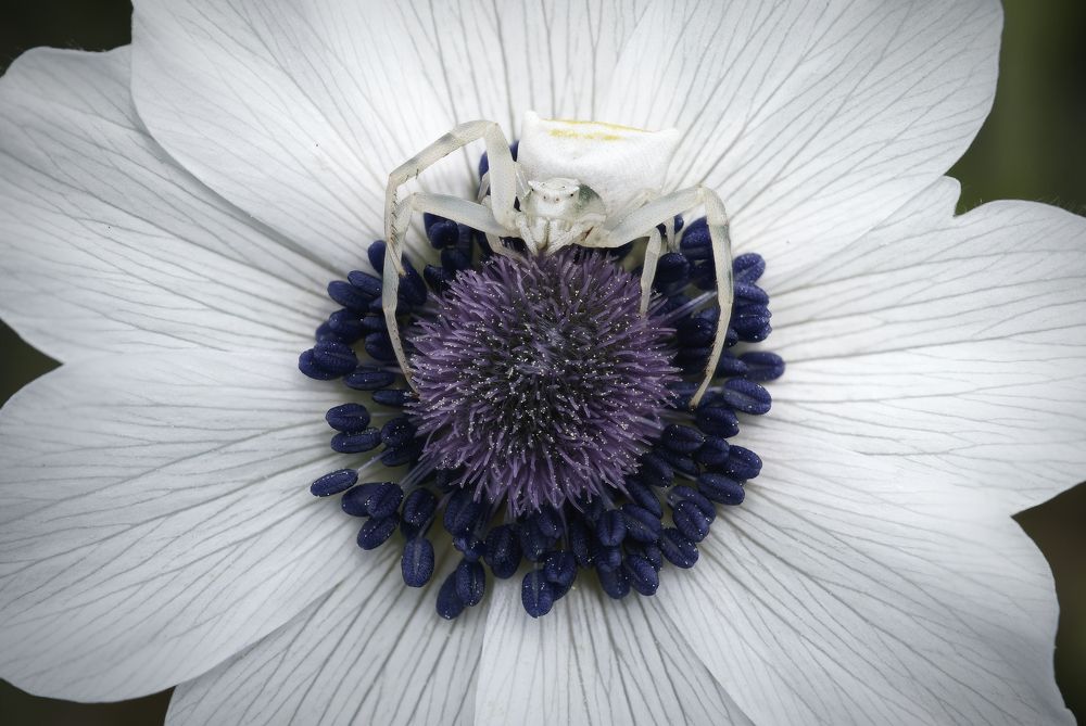 Фотография автора Panagiotis Dalagiorgos