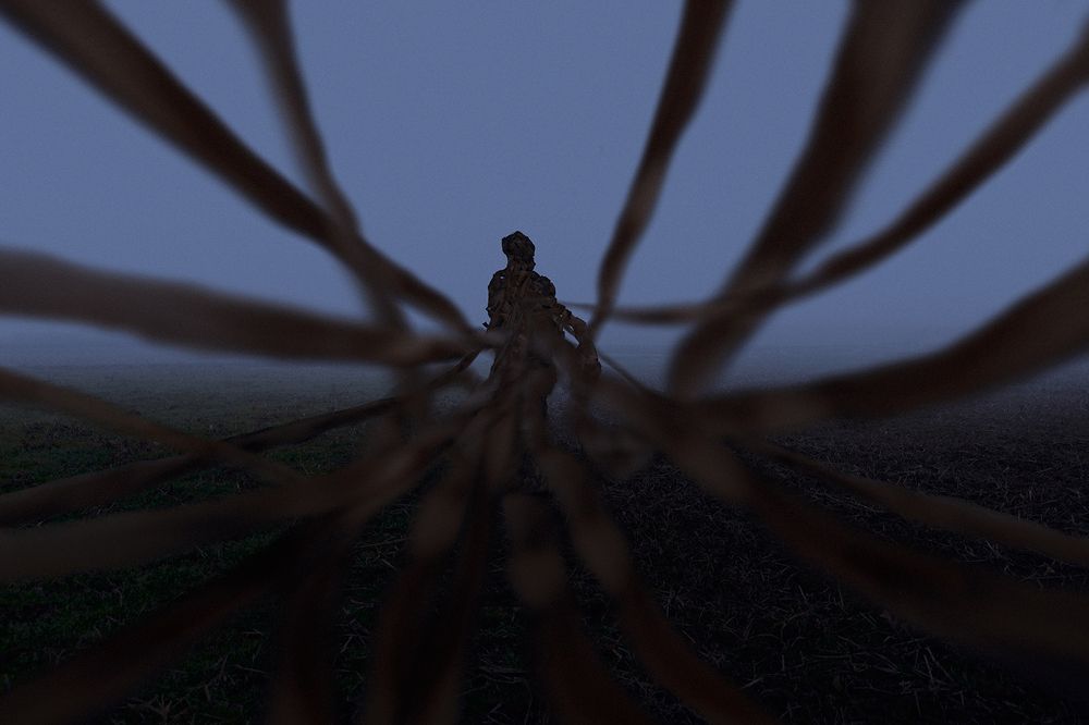 Photograph by Yones Mahmoudi