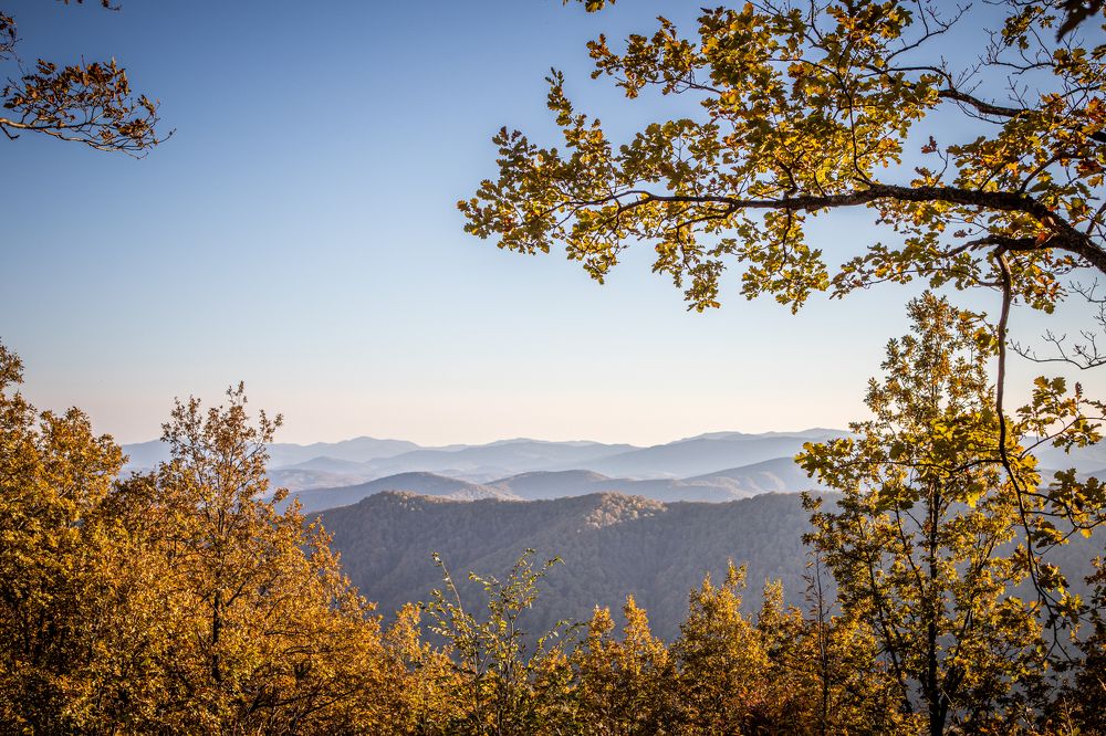 Photograph by Александр Якимовец