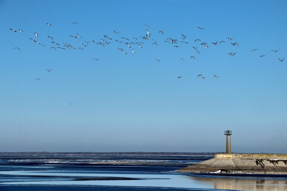 Photograph by Владимир Подкуйко