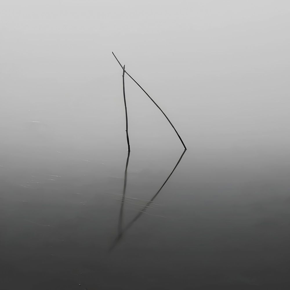 Photograph by Yones Mahmoudi