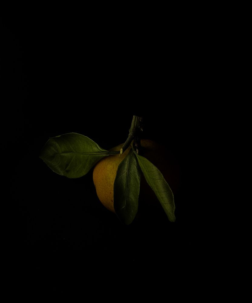 Photograph by Алиса Лошкарева