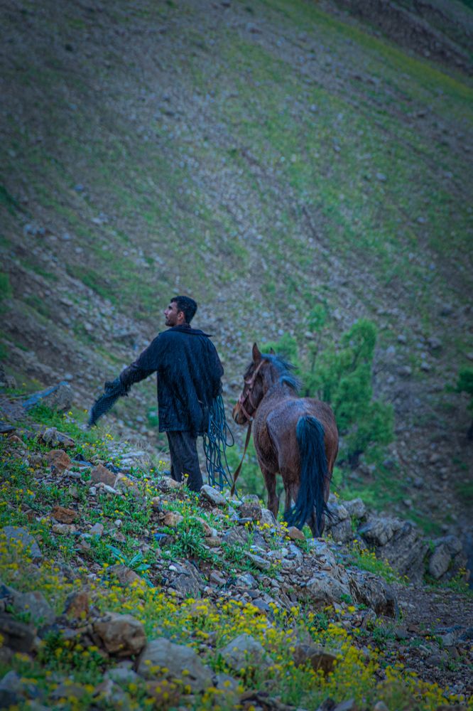 Фотография автора kazem kakaei