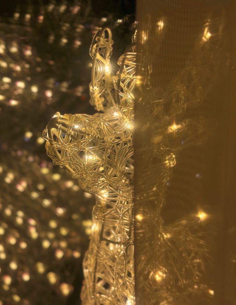 Photograph by Алиса Лошкарева