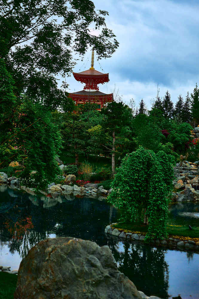 Photograph by Светлана